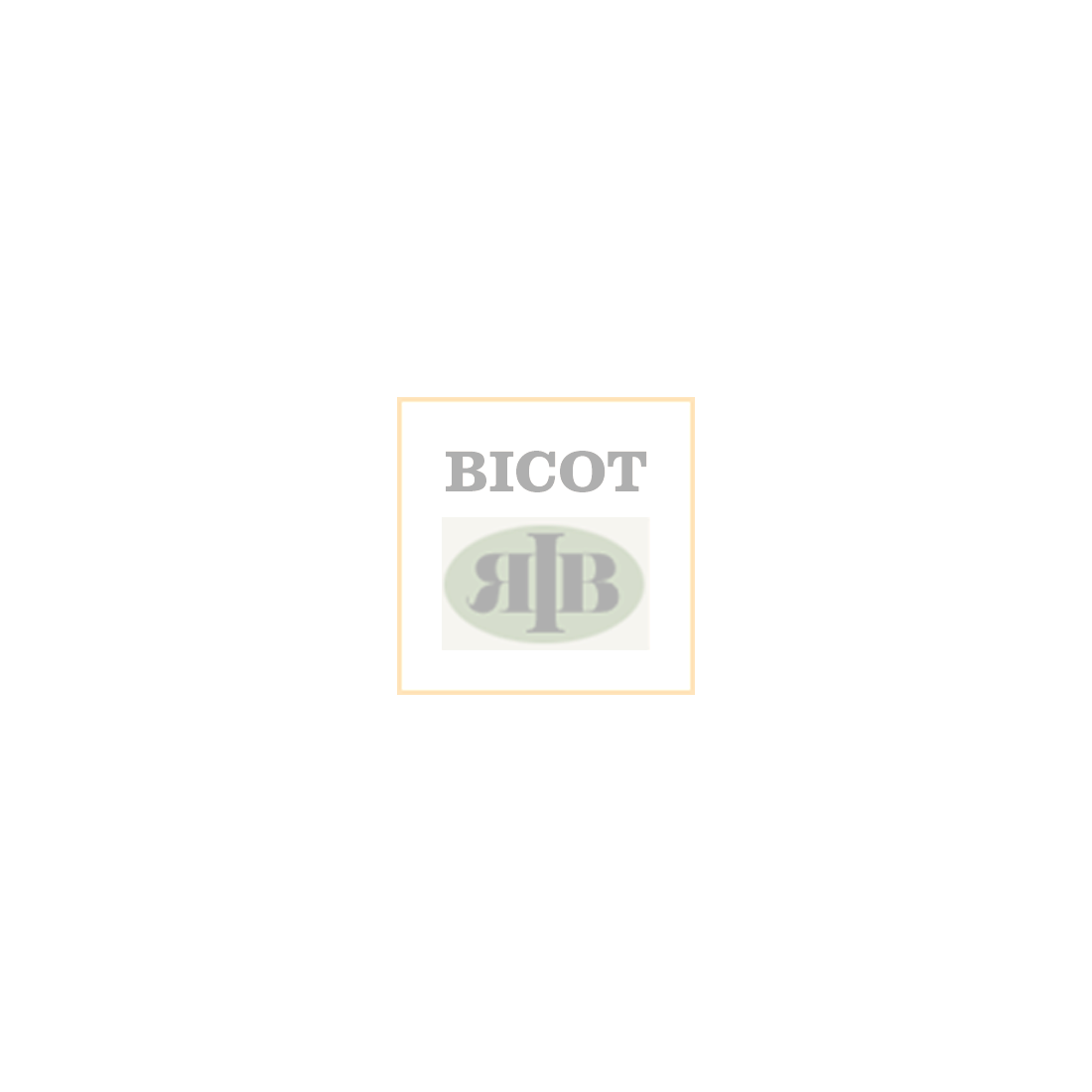 Logo INAPEM